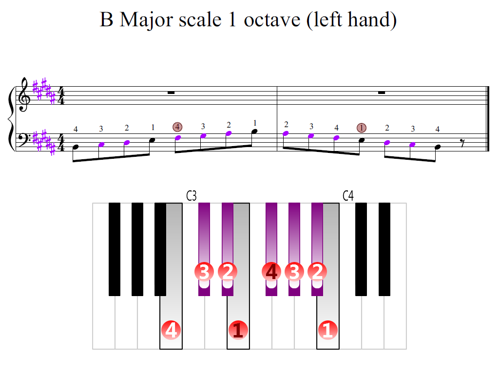 Figure 2. Zoomed keyboard and highlighted point of turning finger (B Major scale 1 octave (left hand))