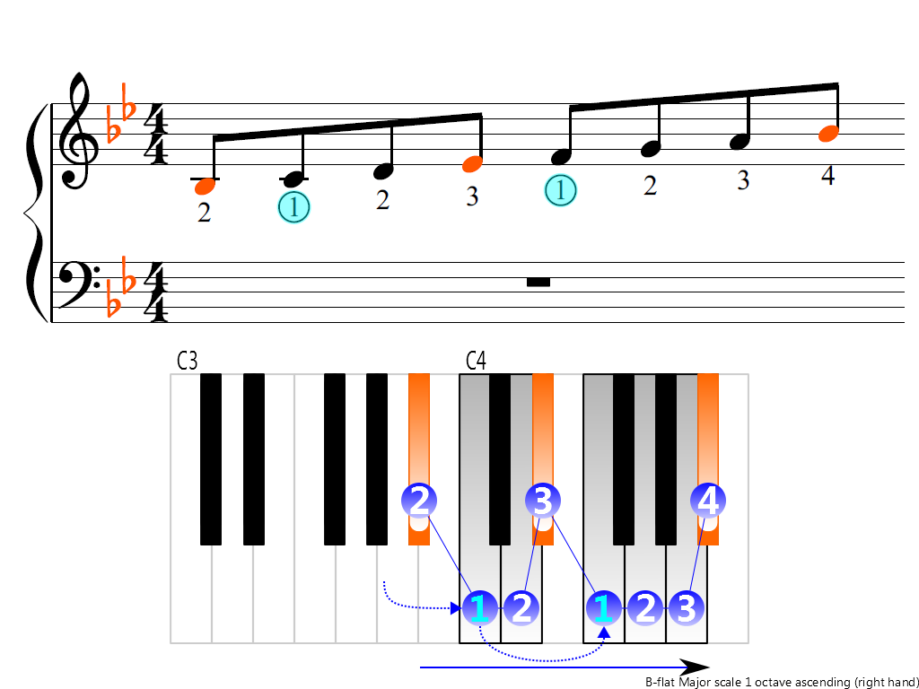 Figure 3. Ascending of the B-flat Major scale 1 octave (right hand)